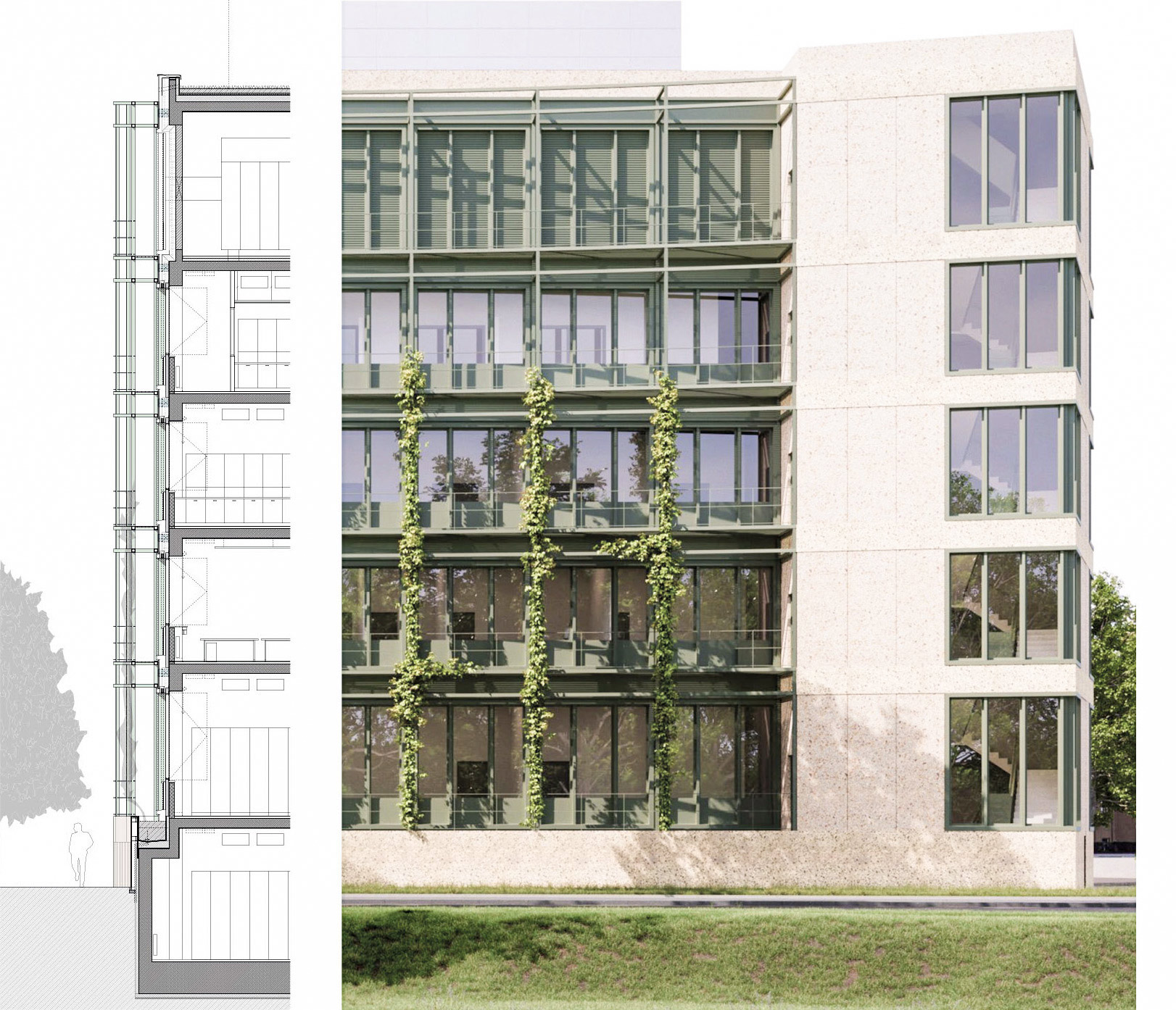 Erweiterung Max-Planck-Institut für evolutionäre Anthropologie (EVAN) - Fassadenschnitt